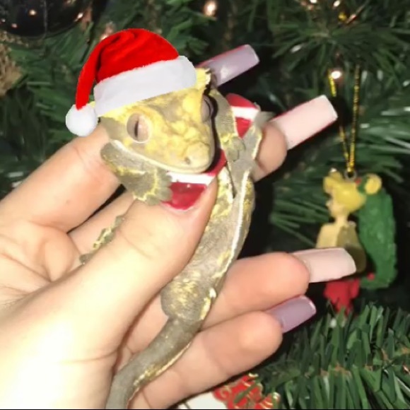 Meet your Posher, Paige - Picture 1 of 1